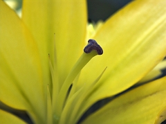 Nature & Wildlife
